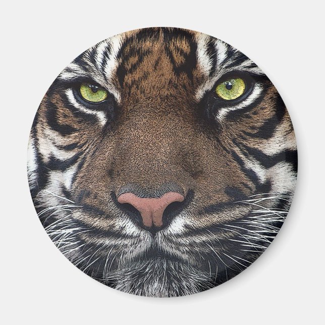 Tiger Magnet (Framsidan)