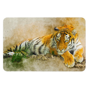 Tiger-målning Magnet