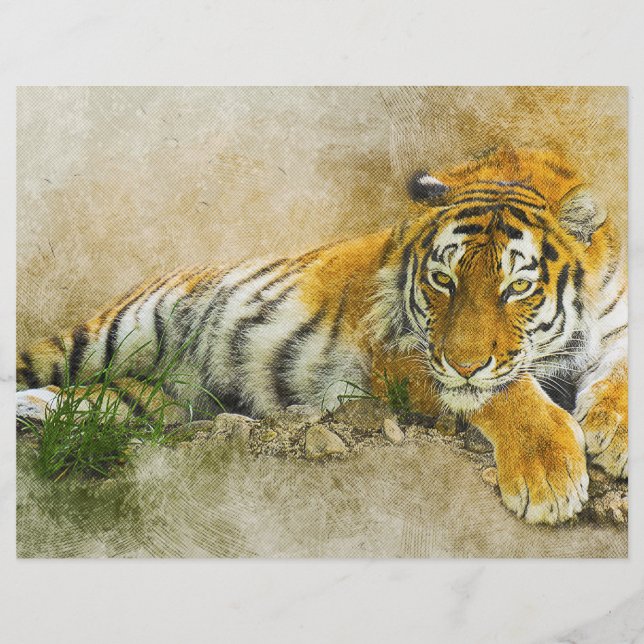 Tiger-målning Reklamblad (Framsidan)