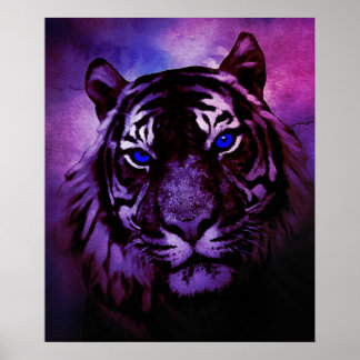 Tiger med Blue Ögon på Lila-bakgrunden Poster