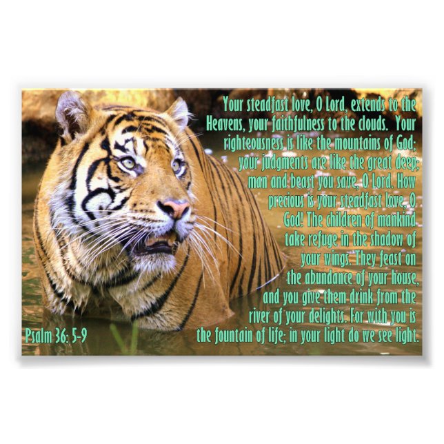 Tiger med Psalm 36:5-9 Fototryck (Framsidan)