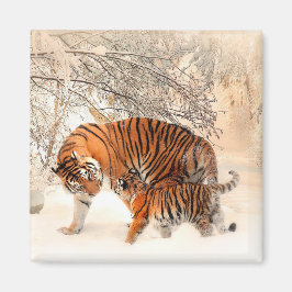 Tiger med Unge i Winter Snö Magnet