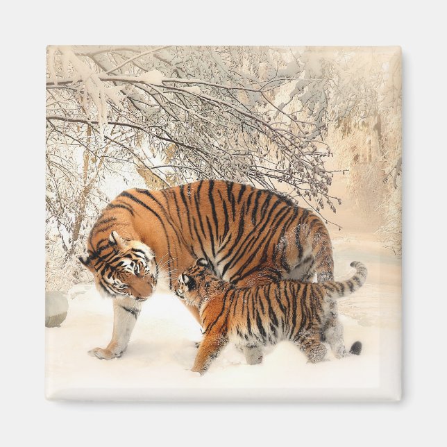 Tiger med Unge i Winter Snö Magnet (Framsidan)