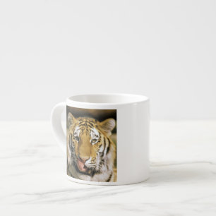 Tiger Michigan Zoo Espressomugg