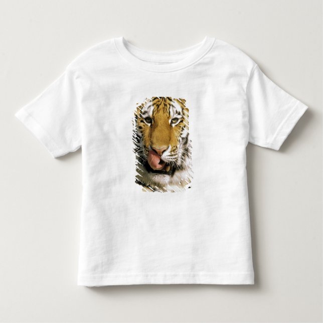 Tiger Michigan Zoo T Shirt (Framsida)