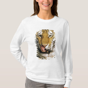 Tiger Michigan Zoo Tee Shirt