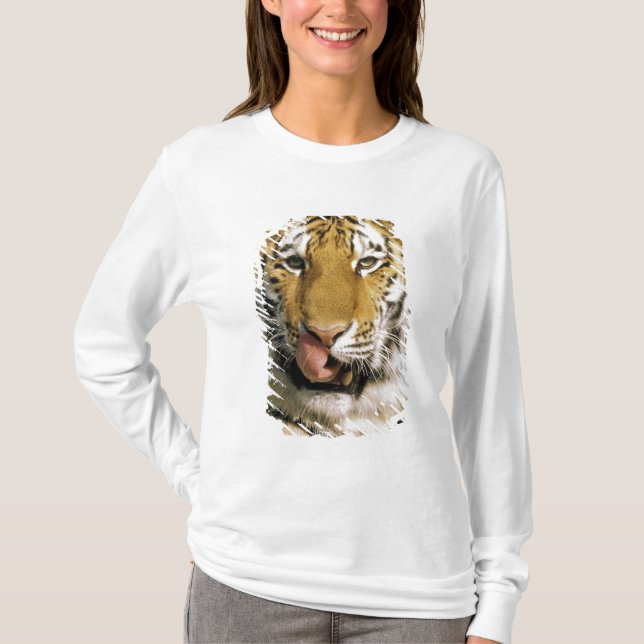 Tiger Michigan Zoo Tee Shirt (Framsida)