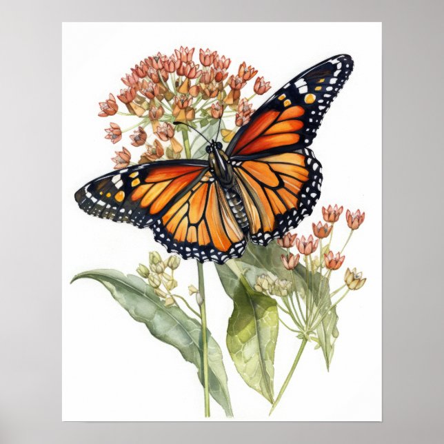 Tiger Milkweed Butterfly Art Print Poster (Framsidan)