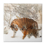 Tiger Mor och baby Kakelplatta<br><div class="desc">Tiger mor och baby</div>