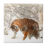 Tiger Mor och baby
