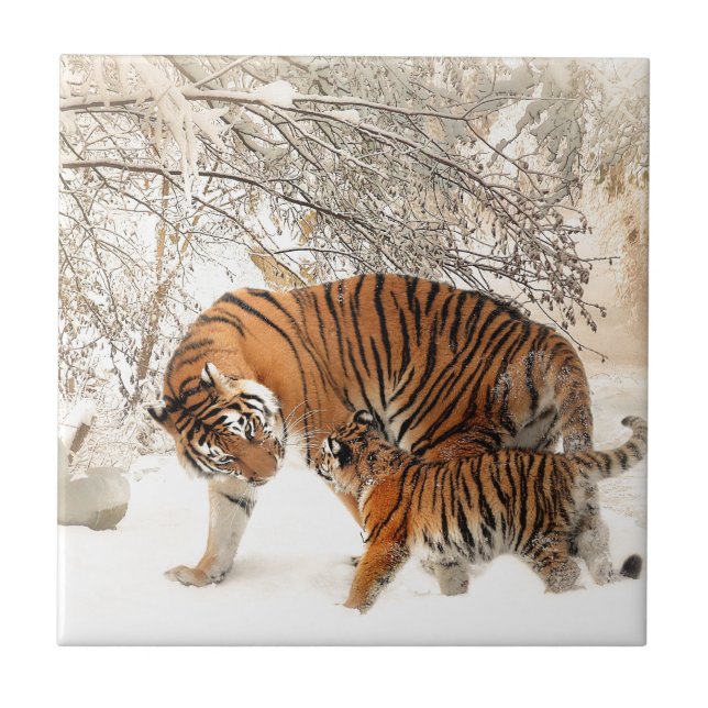 Tiger Mor och baby Kakelplatta (Framsidan)