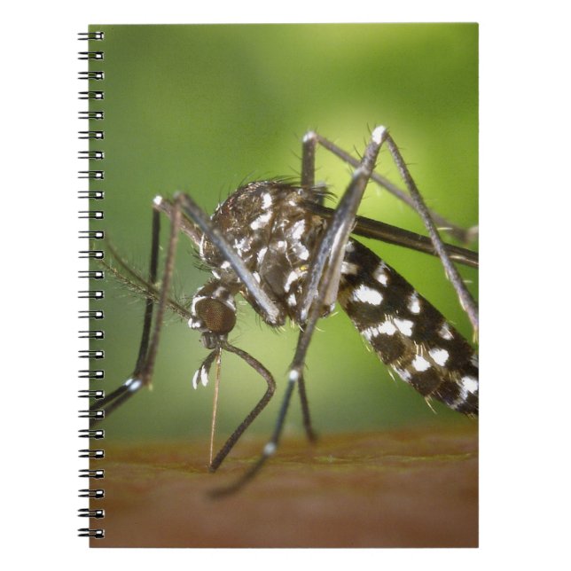 Tiger mosquito anteckningsbok (Framsidan)