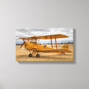 Tiger Moth Canvastryck