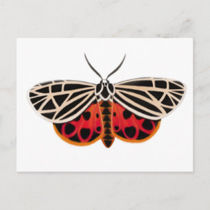 Tiger Moth-vykort Vykort