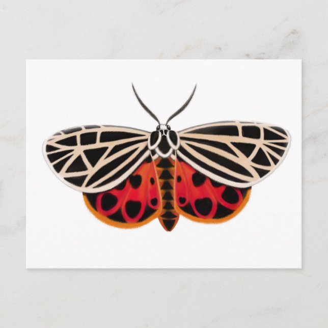 Tiger Moth-vykort Vykort (Framsida)
