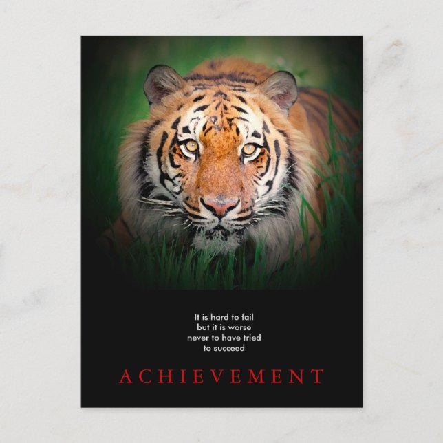 Tiger Motivational Achievement Vykort (Framsida)