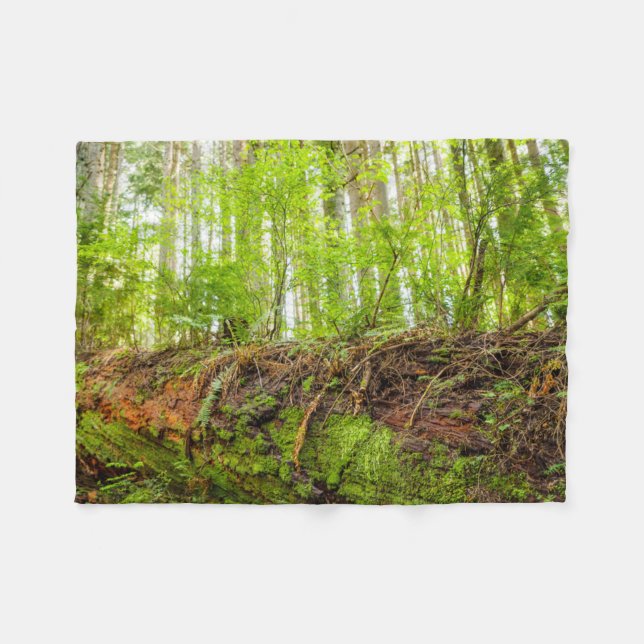 Tiger Mountain | Issaquah, delstaten Washington Fleecefilt (Framsidan (Horisontell))