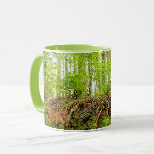 Tiger Mountain | Issaquah, delstaten Washington Mugg (Framsida vänster)