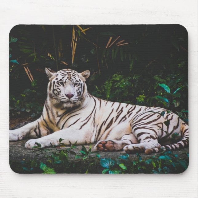 Tiger Mousepad Musmatta (Framsidan)