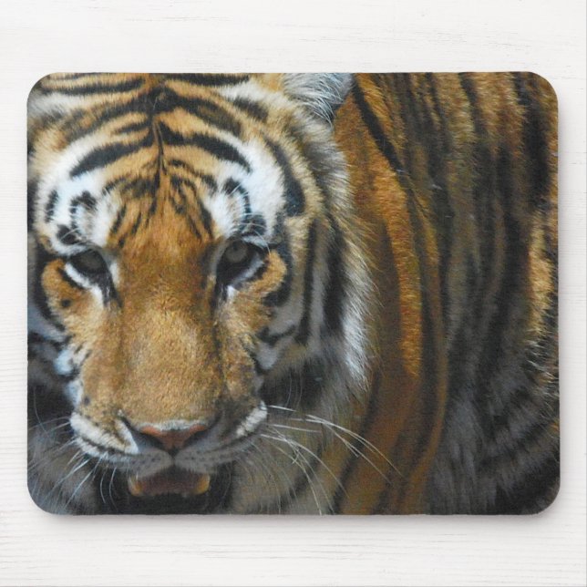 Tiger Mousepad Musmatta (Framsidan)