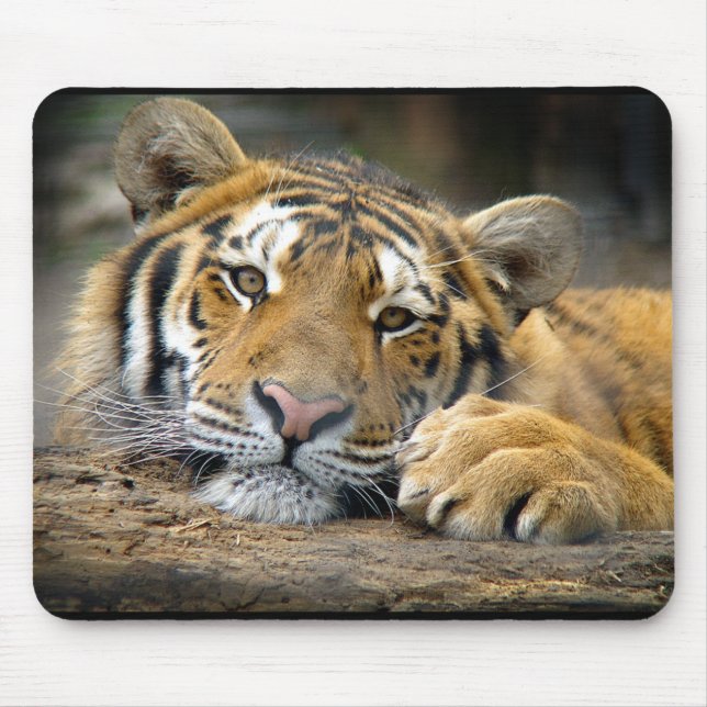 Tiger Mousepad Musmatta (Framsidan)