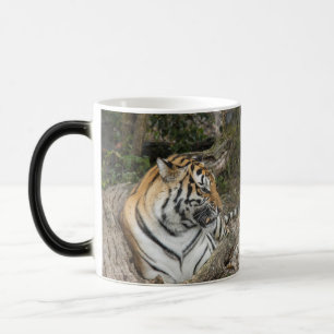 Tiger Mugg