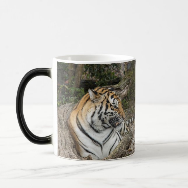 Tiger Mugg (Vänster)