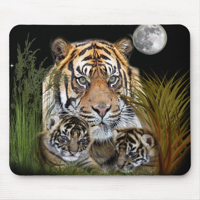 Tiger Musmatta (Framsidan)