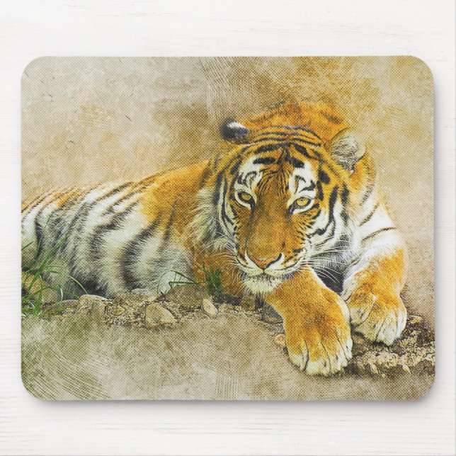 Tiger Musmatta (Framsidan)