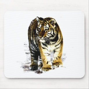 Tiger Musmatta