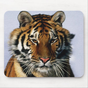 tiger musmatta