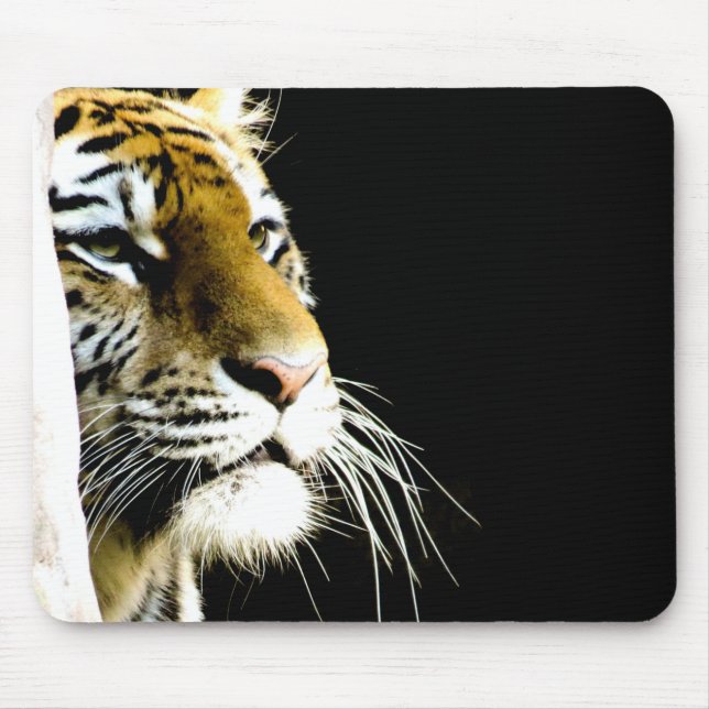 Tiger Musmatta (Framsidan)