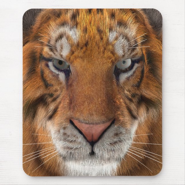 Tiger Musmatta (Framsidan)