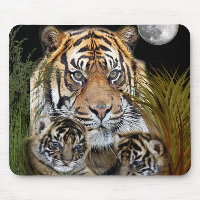 Tiger Musmatta (Framsidan)