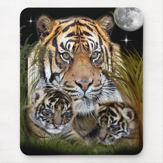 Tiger Musmatta (Framsidan)