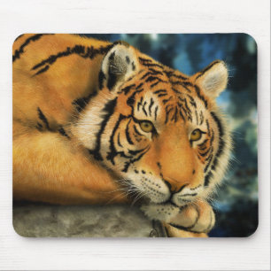 Tiger Musmatta