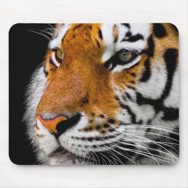 Tiger Musmatta (Framsidan)