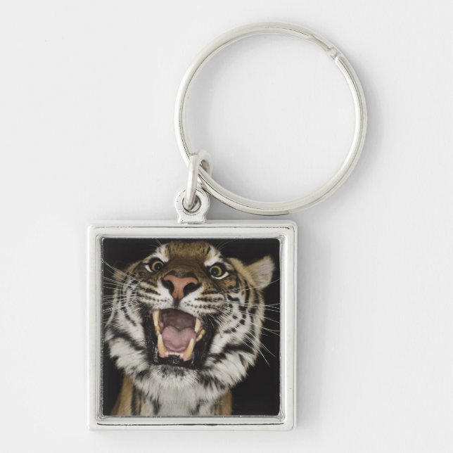 Tiger mycket 2 fyrkantig silverfärgad nyckelring (Framsidan)