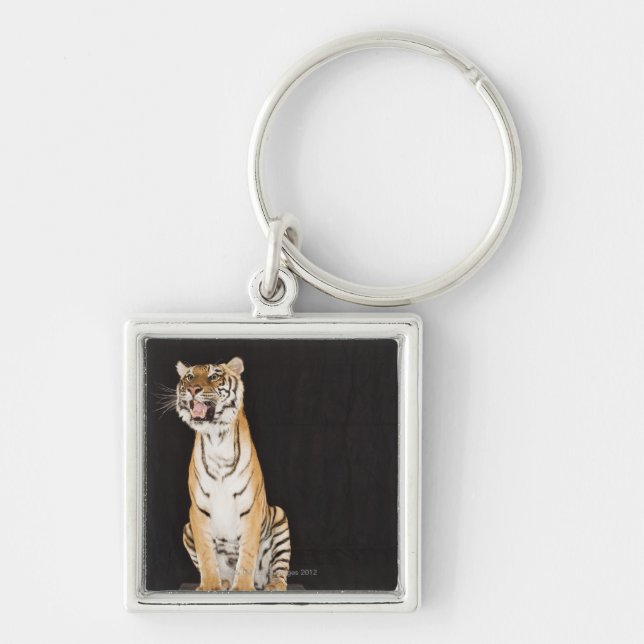 Tiger mycket fyrkantig silverfärgad nyckelring (Framsidan)