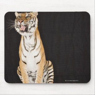 Tiger mycket musmatta