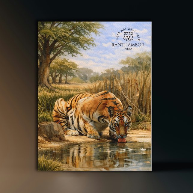 Tiger Nationalpark Ranthambor Indien | Akvarell Vykort (Tiger National Park Ranthambor India | Watercolor Postcard)