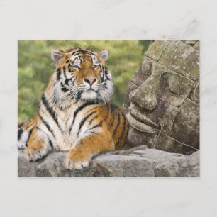 Tiger och Buddhist Temple Vykort