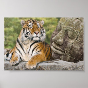 Tiger och buddisttempel poster