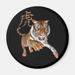 Tiger- och för kinessymbolkyl magnet