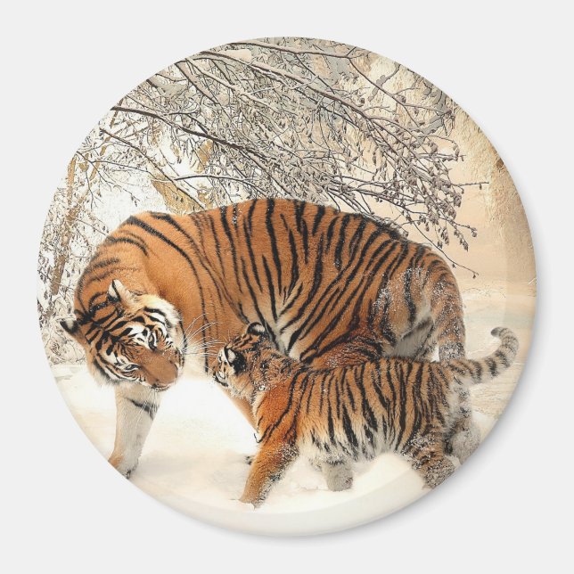 Tiger och Hennes Unge Magnet (Framsidan)