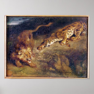 Tiger och Lejon Poster