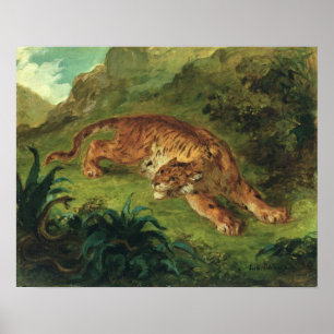 Tiger och orm, 1858 poster