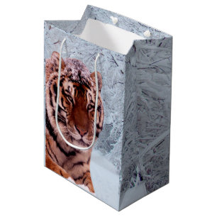 Tiger och snö
