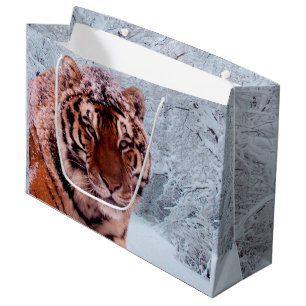 Tiger och snö