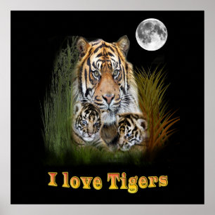 Tiger och unge art poster